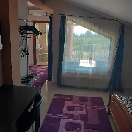 Guest house Casa Marioara Mangalia